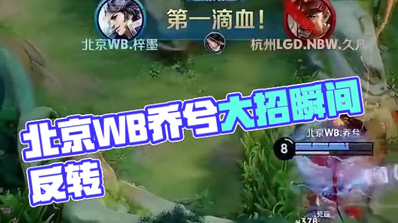 以期获得一 以期获得一