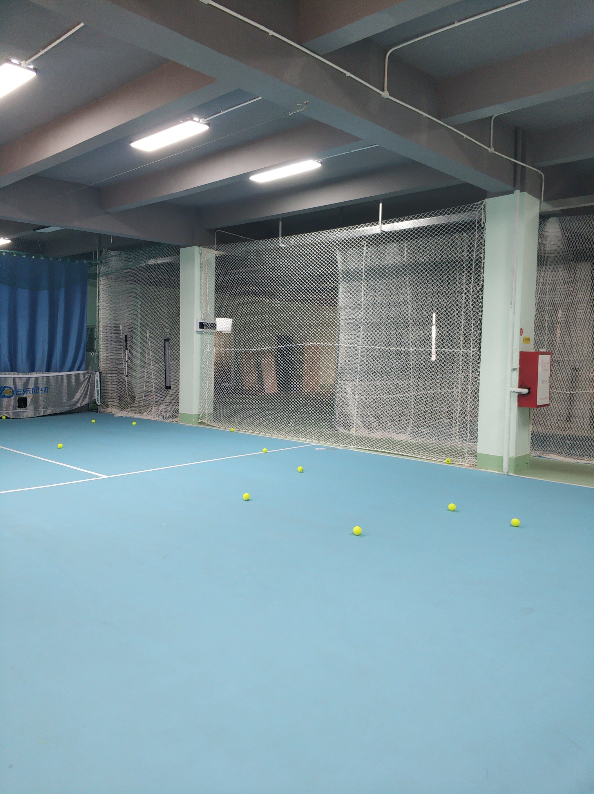 应当在规则 应当在规则