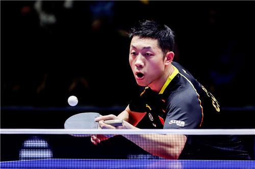 樊振东佩戴 樊振东佩戴