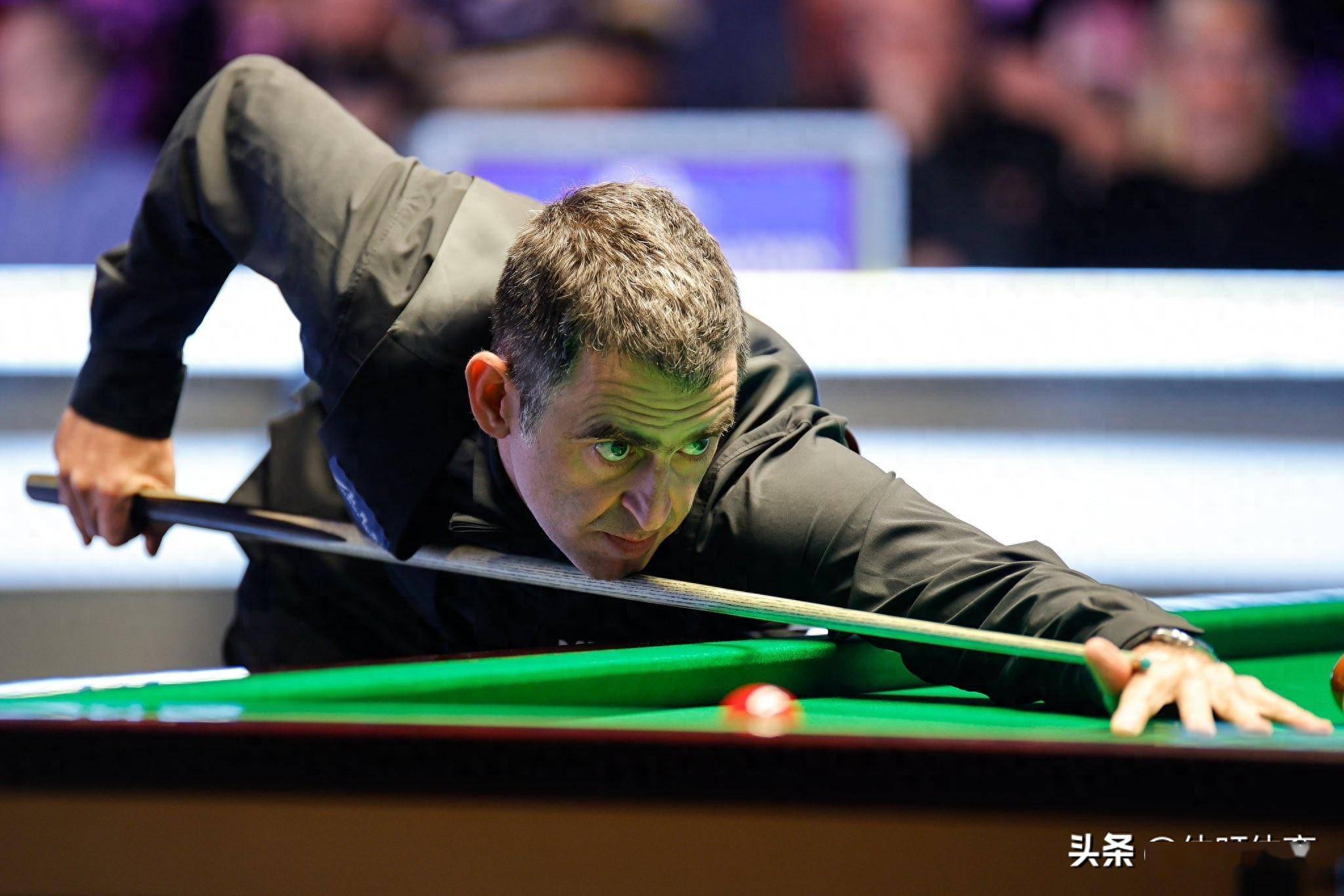 回到可持续 回到可持续